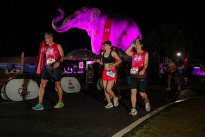 BIB: 
                            <button type="button" onclick="openModal(26535057)" class="btn btn-primary btn-sm float-right btn-popup" data-toggle="modal" data-target=".modal-high-quality">
                        <i class="fas fa-shopping-cart"></i> Add to Cart
                    </button>
                                            <button type="button" onclick="isThisMe(26535057, true)" class="btn btn-success btn-sm float-right btn-popup btn-isme hidden" data-toggle="tooltip" data-placement="bottom" title="นี่คือรูปของคุณใช่ไหม คลิกที่นี่เพื่อเอาเข้าอัลบั้ม">
                        <i class="fas fa-plus"></i> Add to album
                    </button>
                    <button type="button" onclick="isThisMe(26535057, false)" class="btn btn-warning btn-sm float-right btn-popup btn-isnotme hidden">
                        <i class="fas fa-ban"></i> Remove from album
                    </button>